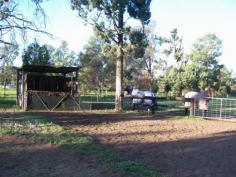  40 Racecourse Rd Berrigan NSW 2712 AREA: 5,083m2 
LOCATION: Opposite Berrigan Race Track under 2 km to centre of town on 
quiet sealed road, between Riverina H/way and Cobram Rd. only 30 minutes
 to the Mighty Murray River. 
 
ARE YOU LOOKING FOR A MANAGEABLE SMALL ACREAGE BLOCK CLOSE TO TOWN WITH A
 GREAT VIEW, LOVELY SHADE TREES, LEVEL AND EASY TO BUILD ON. HAVE YOUR 
OWN HORSE AND CHOOKS OR JUST LIVE IN A WONDERFUL PRIVATE SPOT AND BUILD 
YOUR DREAM HOME! THE VIEW WILL NEVER BE BUILT OUT, HOW GOOD IS THAT!!! 
 
THIS PRESENTS A RARE OPPORTUNITY FOR A HORSE TRAINER TO OWN A GREAT 
BLOCK OPPOSITE THE RACETRACK. BERRIGAN HAS MANY RACETRACKS WITHIN 2 
HOURS DRIVE, IT'S A WONDERFUL PLACE TO TRAIN HORSES WITH THE TRACK 
OPPOSITE AND NUMEROUS TRAILS TO VARY THEIR WORK AND ONLY 3 HOURS TO 
MELBOURNE. 
 
POWER AND WATER ARE AT THE BOUNDARY, NEW FENCING AND DRIVEWAY AT THE FRONT. 
THIS IS A RECENT SUBDIVISION BY MYSELF (THE AGENT) I AM NO LONGER 
TRAINING HORSES BUT CAN SAY WHAT A SUPER SPOT IT IS TO LIVE AND HAVE 
RETAINED MY HOME NEXT DOOR. 
 
SUBDIVIDED INTO 2 HORSE SAFE PADDOCKS WITH 3 HORSE SHELTERS. IT IS A 
UNIQUE CHANCE TO OWN A PLACE LIKE THIS, THEY ARE SO HARD TO FIND!!! 
. 
 VALUE AT $49,000 