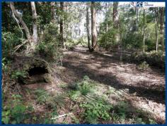  25 Banksia Rd Springbrook QLD 4213 This 708m2 block has a natural gently sloping contour and is in a very 
quiet area in the Springbrook National Park precinct where your visitors
 will be native paddy melons, parrots, kookaburras and more! From
 here you can walk to the Canyon Lookout and through the National Park 
trails to the waterfalls. Get fit, enjoy nature at its best and fresh 
mountain air at the same time! Local cafes are within a short 
walk and it is just a few minutes drive to the local primary school. 
Mudgeeraba & Robina Town Centre, railway & hospital take only 30
 minutes to reach by car. If you are looking to build a new home, minimal clearing will enable you to do so. Come and explore what may be the start of your new mountain lifestyle.   