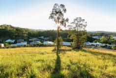 7 Curtis Ct, Mudgeeraba, QLD 4213 Spread out on almost half an acre, sloping up from the road, this block 
is fairly cleared and ideal for a family looking to build a large home 
walking distance from Somerset College and Clover Hill State School. 
 Backing onto a reserve and with fantastic views of the Hinterland, this
 is an awesome opportunity for you to build your dream home. “Clover 
Hill” is a fantastic area for families. Surrounded by local 
parks and reserves, you are only 5 minutes from shopping at Robina Town 
Centre, 5 minutes from the Train Station and Robina Hospital, 20 minutes
 to the Gold Coast Domestic & International Airport. If you are 
seriously considering building an option, call me now for more info. We 
have builders available who can give you ideas on how to create your own
 little slice of heaven. 