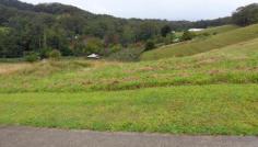  Lot 2 Korora Basin Road Korora NSW 2450 Lot 2 Korora Basin Road 

					 5 minutes drive to beach, school and major regional shopping centre in Coffs Harbour. 
 
Sealed road access and power. 
 
Sunny, north aspect 1 ha (2.5 acres) lots. 
 
Views of the valley, forested hills and ocean. 
 
eg Lot 2 - north/northwest aspect. $197,000. 