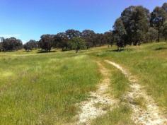  Lot 5 Yandoit Werona Road Yandoit Vic 3461 This block is 
some of the most picturesque land in the area. Approx. 64 acres to be 
used as you like. Fully fenced. Building envelope to build that home 
you’ve always dreamed of. Also has 3 dams, great views, good mix of 
cleared and shade areas including some lovely old gums. The only noise you hear is that of the many birds chattering. Excellent
 property for horses (miles and miles of bush to ride in), also any food
 (grapes, olives, fruit trees etc) production. Have a mini farm with a 
bit of everything!!! Close to Daylesford, Newstead and Castlemaine. Live that clean, self sustainable lifestyle that will keep you energised for years to come. Call to make appointment for inspection now. View Sold Properties for this Location View Auction Results 