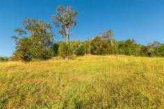 7 Curtis Ct, Mudgeeraba, QLD 4213 Spread out on almost half an acre, sloping up from the road, this block 
is fairly cleared and ideal for a family looking to build a large home 
walking distance from Somerset College and Clover Hill State School. 
 Backing onto a reserve and with fantastic views of the Hinterland, this
 is an awesome opportunity for you to build your dream home. “Clover 
Hill” is a fantastic area for families. Surrounded by local 
parks and reserves, you are only 5 minutes from shopping at Robina Town 
Centre, 5 minutes from the Train Station and Robina Hospital, 20 minutes
 to the Gold Coast Domestic & International Airport. If you are 
seriously considering building an option, call me now for more info. We 
have builders available who can give you ideas on how to create your own
 little slice of heaven. 