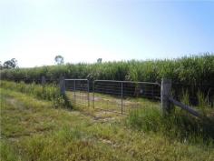  
 Situated on Bilyana Road,
 Bilyana, approx 3 kms from Bruce Highway with bitumen road frontage and
 is mostly fenced. Centrally located approx 2 hours to Cairns and 
Townsville, 15 mins to Tully and Cardwell and 30 mins to beautiful 
Mission Beach. The Property is currently leased and growing cane for 
the 2013 cane season. The lease expires on the 31st of December, 2013. 
The purchaser is allowed to access during the season to any harvested 
cane blocks so that the purchaser can ratoon the cane or plant new 
crops. 35 HA (86.4 acre) water licence for irrigation. Irrigation bore 
with associated diesel motor and mono pump included. Farm has 
previously been used for growing seasonal small crops and as a cattle 
property, however with the water licence for irrigation and irrigation 
bore it's ideally suited for irrigated crops including papaya, bananas 
and small crops comprising melons, pumpkins, taro, choko's etc. Growing
 of cane could be continued also,with potential for a further two cane 
seasons from the existing cane stools on the property. High tonnage and 
CCS farm in relation to cane for the last three cane seasons the farm 
tonnages and CCS have been above the mill area averages. Plenty of areas
 on property where you can build your house and have views of nearby 
mountain ranges. Ideal property to retire to and enjoy the peace and 
quiet of country living and earn an income at the same time either from 
cane, cattle or other crops. 
 
 
 Land Size 375700 m 2 >Crossover None Location 0 Bilyana Road Bilyana QLD Price 595,000.00 
 
 
 
 
 
 