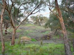 32 Ireland Street McKenzie's Hill Castlemaine Vic 3450 Soon to be developed- 2 x 1 acre building lots at 32 Ireland Street 
McKenzie's Hill Castlemaine. Services to be provided to boundary include
 town water, power, sewerage and access road. Price $150,000 each. Note- 