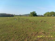  Lot 1 Jones Road Byabarra NSW 2446 Secluded 100 acres, ex dairy, beaut elevated home site with top views, 
town water & power available., 2 dams, old well, some original 
scrub, sets of yards and loading ramp. Contact Rod for inspection on 
0408 747 603					 
