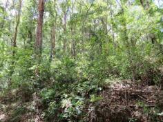  Langley Vale, NSW 2426 96.9 acres of natural bushland ranging from gently undulating to sheer 
cliffs at the back. Believe it or not this natural block is located less
 than 20 minutes drive from town and to local beaches. The block is 
considered to be light 4WD access has power at its frontage, basic 
boundary fencing and has an access track already cleared deep onto the 
block. This is a natural wonderland with a mixture of hardwood timbers 
many of which appear to be mill able, pockets of protected old growth 
forest and areas of identified rainforest. The open cut gullies traverse
 down the slopes making for beautiful water features and the naturally 
occurring Stag horns, elks and native orchids line the trees. If you are
 looking for a getaway, a large parcel of land in a completely private 
position, somewhere to built that log cabin or a shed to escape then 
look no further one of the most affordable large acreages along the 
coast. Private, secluded, tranquil and CHEAP! 