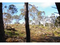  Lot 1,2,5 / Oldbury Street Berrima NSW 2577 Andrew Hearn Real Estate Presents a new land release in the Historic village of Berrima 4
 new lots of between 4047- 6070 sqm are now available to build your 
dream home overlooking the village, and the Wingecarribee River. These 
are arguably the best vacant blocks available in the Southern Highlands.
 Building blocks in the village of Berrima rarely become available. All 
services available and ready to go. Inspect soon. Andrew Hearn Real Estate Presents a new land release in the Historic village of Berrima
 		 4 new lots of between 4047- 6070 sqm are now available
 to build your dream home overlooking the village, and the Wingecarribee
 River. These are arguably the best vacant blocks available in the 
Southern Highlands. Building blocks in the village of Berrima rarely 
become available. All services available and ready to go. Inspect soon. - See more at: http://www.andrewhearn.com.au/listings/land_sale-285329-berrima/#sthash.CmAEJgD4.dpuf 