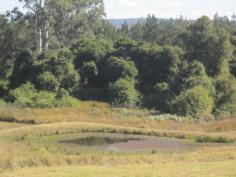  Lot 23 Busbys Flat Rd Casino NSW 2470 This beautiful little block is handy to town and perfect for the hobby farmers amongst us 
* With power and phone handy,fully fenced and a good size dam to enjoy 
* Picture perfect and private 
* Just under 16kms to Casino and under 2 hours drive to the GC 