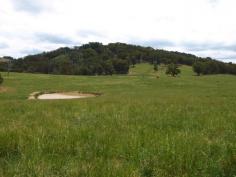 DUNGOWAN/NIANGALA, NSW 2340 Freehold, the property has a building entitlement. Located between Dungowan and Niangala, 53km east of Tamworth via bitumen road. There
 is approximately 40 acres of plateau country sown to high performance 
pasture. The balance is mainly undulating and hilly grazing country with
 open and timbered areas. The soils are mostly basalt and areas of 
Stringy Bark regrowth could be cleared. Good safe water from 4 dams and spring fed gullies. Water has not been a problem in recent dry years. 950mm OR 38 Inches Currently used a mixed operation running sheep and cattle. Estimated to run around 60 – 70 cows and calves or 100 steers. Well fenced into 5 paddocks of varying sizes, the fencing is mainly in very good condition. The property has a building entitlement. 