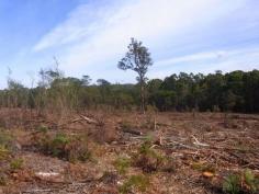 Portion 35, Narrabarba, NSW 2551 Great affordable 40 acre weekender mostly cleared with a long creek 
frontage, good soil and lovely views toward Mt Imlay National Park. 
Easy 15 minute drive to Wonboyn Lake and Eden. Stake your claim. 