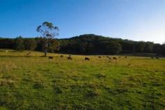Lot 707 Crescent Head Road Crescent Head NSW 2440 Incredible opportunity to purchase approximately
 233 acres (94ha) adjacent to Crescent Head village.
 The land is on 3 titles and is zoned R5 Large
 lot Residential, RU2 Rural Landscape, E2 Environmental
 Conservation and E3 Environmental Management over
 various areas. It features a mix of coastal flats,
 undulating flood free land and some steeper areas.
 There are beautiful vistas from all over the property
 including ocean views to the north east from the
 higher areas. The land is currently running around
 50 head of cattle and features a large shed and
 cattle yards. 