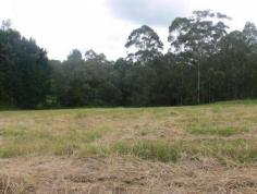  16 Coochin St Peachester QLD 4519 1 Acre of gently sloping land in the heart of Peachester, walking 
distance to shop. No covenants on this block so you could put a removal 
home here or build your dream home. There is a small dam on the land 
which would create a nice outlook from your new home. Good rich red soil
 perfect for growing anything on. Only 7 minutes drive to Beerwah for 
shops, rail, bus and high school. (REF# 5665) 