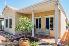  134 Lyon Rd Aubin Grove WA 6164 WALK TO WOOLWORTHS! Web property id:  TRE151 This SLICK, MODERN & IMMACULATE home with it’s Crisp and Neutral Colour Tones is BEAUTIFULLY PRESENTED AND with virtually NO MAINTENANCE outside this is your EASY CARE LIFESTYLE OPPORTUNITY. Boasting: - 3 Double Bedrooms all with Built In Robes - Study or Home Office - 2 Neutral Bathrooms - Modern Kitchen c/w Dishwasher - Soaring High Ceilings to Meals & Family Living Area - Alfresco Entertaining Patio - Extra Large Double Lockup Garage - Separate Laundry  - Ducted Evaporative Air-Con & Gas Bayonet - Gas Storage Hot Water & Gas Connected - TV Antenna & Clothesline - Roller Shutters to Front Rooms PERFECTLY located near the New Harvest Lakes Village Center including EASY Freeway entries and Bus Stops virtually on your doorstep this is YOUR GOLDEN OPPORTUNITY TO POUNCE. Proudly Marketed by THRIVE Real Estate with Derick & Bev PITT! 