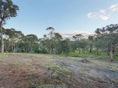 32 Ireland Street McKenzie's Hill Castlemaine Vic 3450 Soon to be developed- 2 x 1 acre building lots at 32 Ireland Street 
McKenzie's Hill Castlemaine. Services to be provided to boundary include
 town water, power, sewerage and access road. Price $150,000 each. Note- 