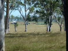 82-126 Morgans Road Purga Qld 4306 
 Situated at Morgans Road on the Purga Creek, this gently undulating 
parcel of land offers great views and exceptional spots to build the 
house of your dreams. Very close to town and all it's amenities, 
schools, shops, doctors etc. Yamanto shopping centre just a short drive 
away. 

 This block is fully fenced with good split post, 4 barb fencing with 
the creek being the boundary on the Eastern side. Two test bores 
recently sunk, with good water and volume. 

 If you want a large parcel of land just a short drive to all conveniences this could be the one. 
 