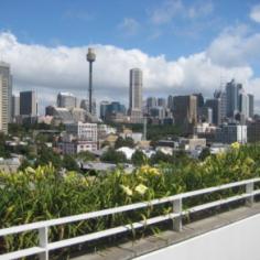  722/50 Burton Street Darlinghurst NSW 2010 On the North West cover on level 7 this truly magnificent residence offers 2 levels of luxury living. 
 Expansive living opening to massive private deck and CBD aspect. 
 ultra modern kitchen, stairs to 2 bedrooms, 2 bathrooms again with lovely CBD views. 
 AVAILABLE MID JANUARY FOR LONG LEASE 