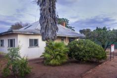  3 White Mukinbudin WA 6479 Large House - Cheap price This hard to find 3 x1 home will certainly have wide appeal. With an open fire place servicing two rooms and a very large sleep out, it boasts a lot of room. Iron roof and fibro walls,and situated on a manageable block, very close to the centre of town, where all amenities are in walking distance. Timber floors and high ceilings only add to it's attraction. Of course at this price, there is some work to do. Inspection by appointment only. Other features: Close to Schools,Close to Shops,Fireplace(s) 