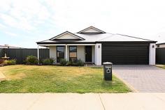 11 Kempeana Way Baldivis WA 6171 PERFECT FAMILY HOME This beautifully presented 4 bedroom, 2 bathroom 
home is perfect for the growing family with a separate theatre room and 
spacious open plan living. The large kitchen provides ample bench and 
cupboard space and the shoppers entry allows you to unload your shopping
 from the double garage into the kitchen. The kitchen is equipped with a
 900mm wide stainless steel hotplate and rangehood and an electric under
 bench oven. Down the passage there are three good sized bedrooms with 
separate bathroom and toilet. The master bedroom has his and her walk in
 robes, ensuite and...
 
 