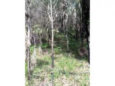 161 Glenworth Valley Road Mount White NSW 2250 
 High Side of the Road Overlooking Mangrove Creek
 Lot 161 Glenworth Valley Road Mount White 

 DA Approved Dwelling 
 Tranquility
 Commanding Position
 1/2 Hour from Hornsby/Gosford 

 Call Dennis Fulham 0418 299 948 for the contract 
 
 

 

 
 
 

For Sale


$380,000 

 



Features 