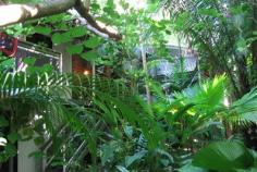  33 Orchard Rd Coconut Grove NT 0810 A unique opportunity to purchase an elevated Troppo constructed house in a magnificent tropical setting.  This residential block is zoned as RR (Rural Residential) 15 minutes to Darwin city.  Comprising of six bedrooms, two bathrooms and a three bedroom bungalow at the rear of this enormous 3760m2 RR (Rural Residential) block.  This one off house has numerous verandahs surrounding the house, high ceilings with beautiful leadlight skylights crafted by the owner. This is lifestyle at its finest and a unique opportunity for a Bed and Breakfast close to the city. There is a fenced in-ground pool and spa sheltered in the tropical garden with its rainforest setting.  The battle-axe block is completely private from the street and has an abundance of birds and wildlife.  One of a kind, this rural property so close to the city. Off the main road a tranquil paradise with its magnificent tropical rain forest and birdlife. A perfect setting for a Bed and Breakfast. This is a unique property for the astute investor. 