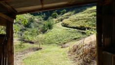 Lot 2 Lovetts Road NSW 2450 On over 3 1/2 acres, this elevated Korora block with panoramic views 
will allow you to build your dream home less than 10 minutes from Coffs,
 but with no highway noise. 
 
The Korora basin already boasts some delightful, private estates and here could be the spot to create your own. 
 
At the end of a dead-end, sealed road, you will be surrounded by 
vegetation yet enjoy pleasant valley views from an elevated building 
site. 
 
The small, permanent dam which forms part of the block provides just part of a wonderful vista. 
 
There is an old packing shed and power and phone are available to the block. 
 
The photos simply cannot portray what a peaceful, pretty location this 
is, so if you are after the ultimate in serenity just minutes from town,
 call Peter Richardson today on 0437 3777 06 to book your private 
inspection. 
