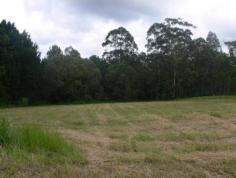  16 Coochin St Peachester QLD 4519 1 Acre of gently sloping land in the heart of Peachester, walking 
distance to shop. No covenants on this block so you could put a removal 
home here or build your dream home. There is a small dam on the land 
which would create a nice outlook from your new home. Good rich red soil
 perfect for growing anything on. Only 7 minutes drive to Beerwah for 
shops, rail, bus and high school. (REF# 5665) 