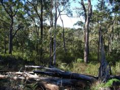 
 Lot 3 Stonehouse Road 
 Pillar Valley 
 NSW 
 2462 
 This block offers attractive Coldstream river frontage. 

 There is an abundance of nature in your backyard for your enjoyment 
and you'd think you owned a national park. With plenty of large native 
trees, loads of little streams, beautiful sandstone and a wide variety 
of native birds and animals you will adore this piece of Australian 
bush. You can even catch bass in the river! 

 The beaches at Wooli Diggers Camp and Minnie water are a short 20 minutes drive, offering
 a access to the Solitary Islands Marine Park and you'll be 
surrounded by Yuraygir National Park with its many reacreational 
activites. 

 The block is accessed by road easement from Stonehouse Road off Wooli
 Road in Pillar Valley, so you'll feel that you're in a private secluded
 hideaway in the Australian landscape. 

 A building entitlement is approved so you can build a home here (STCA)
 68.49Ha (169.24Acres) 
 
 

 

 
 
 

For Sale


$250,000.00 

 



Features 