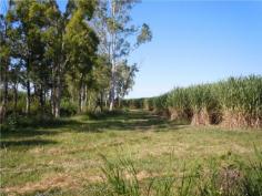 0 Bilyana Road Bilyana Qld 4854 
 Situated on Bilyana Road,
 Bilyana, approx 3 kms from Bruce Highway with bitumen road frontage and
 is mostly fenced. Centrally located approx 2 hours to Cairns and 
Townsville, 15 mins to Tully and Cardwell and 30 mins to beautiful 
Mission Beach. The Property is currently leased and growing cane for 
the 2013 cane season. The lease expires on the 31st of December, 2013. 
The purchaser is allowed to access during the season to any harvested 
cane blocks so that the purchaser can ratoon the cane or plant new 
crops. 35 HA (86.4 acre) water licence for irrigation. Irrigation bore 
with associated diesel motor and mono pump included. Farm has 
previously been used for growing seasonal small crops and as a cattle 
property, however with the water licence for irrigation and irrigation 
bore it's ideally suited for irrigated crops including papaya, bananas 
and small crops comprising melons, pumpkins, taro, choko's etc. Growing
 of cane could be continued also,with potential for a further two cane 
seasons from the existing cane stools on the property. High tonnage and 
CCS farm in relation to cane for the last three cane seasons the farm 
tonnages and CCS have been above the mill area averages. Plenty of areas
 on property where you can build your house and have views of nearby 
mountain ranges. Ideal property to retire to and enjoy the peace and 
quiet of country living and earn an income at the same time either from 
cane, cattle or other crops. 
 
 
 Land Size 375700 m 2 >Crossover None Location 0 Bilyana Road Bilyana QLD Price 595,000.00 
 
 
 
 
 
 