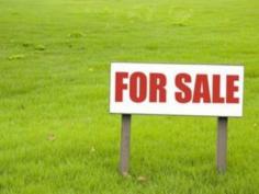 
 Lot A, 145 Crimea St 
 Morley 
 WA 
 6062 Corner 300 sqm block overlooking lush park with .Survey strata block 
with dual access driveways onto Driscoll Ave and Crimea St. Get your 
building plans in place whilst you await the issue of title Great 
location near all amenities, schools, shops and the Galleria. 