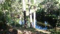 Lot 2 Lovetts Road NSW 2450 On over 3 1/2 acres, this elevated Korora block with panoramic views 
will allow you to build your dream home less than 10 minutes from Coffs,
 but with no highway noise. 
 
The Korora basin already boasts some delightful, private estates and here could be the spot to create your own. 
 
At the end of a dead-end, sealed road, you will be surrounded by 
vegetation yet enjoy pleasant valley views from an elevated building 
site. 
 
The small, permanent dam which forms part of the block provides just part of a wonderful vista. 
 
There is an old packing shed and power and phone are available to the block. 
 
The photos simply cannot portray what a peaceful, pretty location this 
is, so if you are after the ultimate in serenity just minutes from town,
 call Peter Richardson today on 0437 3777 06 to book your private 
inspection. 