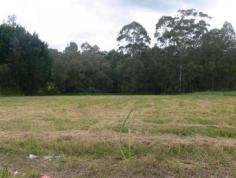  16 Coochin St Peachester QLD 4519 1 Acre of gently sloping land in the heart of Peachester, walking 
distance to shop. No covenants on this block so you could put a removal 
home here or build your dream home. There is a small dam on the land 
which would create a nice outlook from your new home. Good rich red soil
 perfect for growing anything on. Only 7 minutes drive to Beerwah for 
shops, rail, bus and high school. (REF# 5665) 