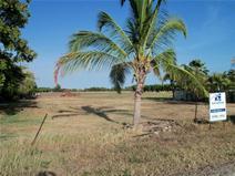 61 Mount Nutt Rd Bowen QLD 4805 Prime Block of Land at Queens Beach Approximately 1.3 Acres! $275,000 This Prime block of land approximately 1.3 acres is in a great location! It is only a short walk from the local primary school, beach, park, medical centre and movie theatre. It is also centrally located only a few minutes drive to the CBD and all of Bowen's lovely parks and beaches. With it being a larger block there is plenty of room for the Australian dream of having a large house with enough room for the kids to play. Call our office to arrange a private inspection. 