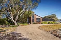  10 Macbean Court Greenvale VIC 3059 SENSATIONAL ACREAGE LIFESTYLE OPPORTUNITY! An expansive single-level home on an enormous corner block (over 5700sqm) with established gardens all-round, this unique property delivers an idyllic mix of rural living and urban convenience. Enjoyed by the one family since new, the home's immaculate and light-filled interior highlights four generous bedrooms (master with WIR and ensuite) and main family bathroom, elegant formal lounge and dining with high vaulted ceilings and wood heater, spacious open-plan living/meals area and well-appointed kitchen. Other features of the home include ducted heating and evaporative cooling, ducted vacuum, as well as a big family-sized laundry, wine cellar and attic storage. Surrounding the home, the property's extensive grounds include a private entertainer's courtyard garden, outdoor spa, triple carport, two circular driveways, two enormous storage/work sheds, established trees/gardens and plenty of room for a pool or full-sized tennis court - or both! Land, location, and a well-appointed family home - what an opportunity! View Sold Properties for this Location View Auction Results General Features Property Type: House Bedrooms: 4 Bathrooms: 2 Outdoor Features Carport Spaces: 3 Garage Spaces: 6 Contact Agent 