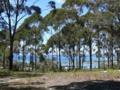  Lot 335 Lot 335 Gannet Ct Merimbula NSW 2548 Positioned in a new estate, surrounded by quality homes and 
overlookingMerimbula township is this easy-building block of vacant land
 in a quiet court location. Backing onto reserve and just over 1000 
square metres in size, this generous block offers the convenience of all
 services located underground. Priced to please, this vacant block 
located close to town, lake and beaches could be just the dream site 
you’ve been searching for.Government Incentives availableCall now for 
futher information 