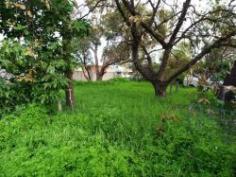  Lot 236 Hazelwood Road Maddington WA 6109 Huge green title street front block, level 624 sqm,proposed lot 236, 
facing Hazelwood Rd, next to near new homes, with 18.68 m frontage, 
being subdivision of 34 Bertram St.Call Jeevan Frank on 0411 756 540 for
 more details. 