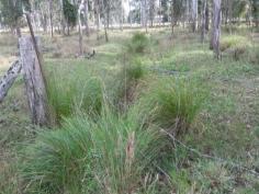  LOT 299 Ellangowan Rd Casino NSW 2470 Positioned just out of cbd and in walking distance to showground/racecourse 
* This great 14 acre property has lots of features 
* Sealed road access a minute or two from cbd, power on block, fully fenced and accesible water 
* Shade trees, good feed, flat land, has dwelling entitlement subject to council conditions 
* Would suit a permanent adjistment, holding paddock scenario or enjoy as a getaway close to town 
* Drain and power easement on property, property subject to flooding 
* At this price, this one wont last ! 