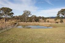 LOT 3 Neagles Ln Tenterfield NSW 2372 $110,000.00 2 acres peacefully located 2kms from Tenterfield Magnificent views towards town and ranges Improvements made since purchased 20/10/2011 Burned off, slashed, part harrowed, kikuya and cocksfoot planted Pad cut for shed, road bass laid Dam cleared out Soil tested Boundary fence completely secured with rabbit netting The works done, this block has been well improved and is ready to go! 