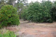  34 Steere St Balingup WA 6253 This
 easy to build-on 1045sqm lot within a short stroll to the cafe strip of
 magical Balingup is just the spot for the retiree or lifestyle changer 
to build a dream home. The lot is serviced with power, water, telstra 
with frontage to bitumen road and views to bushland. Come and 
experience the magic of Balingup with its Medieval Festival, Small Farm 
Field Day, Telling Tales and many other community activities to involve 
the mind, body and soul. Great buying at this price! - See more 
at: 
http://bridgetown.harcourts.com.au/Property/588563/WBR5652/34-STEERE-STREET#sthash.Rdle84ap.dpuf This
 easy to build-on 1045sqm lot within a short stroll to the cafe strip of
 magical Balingup is just the spot for the retiree or lifestyle changer 
to build a dream home. The lot is serviced with power, water, telstra 
with frontage to bitumen road and views to bushland. Come and 
experience the magic of Balingup with its Medieval Festival, Small Farm 
Field Day, Telling Tales and many other community activities to involve 
the mind, body and soul. 
