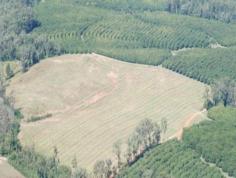  123 Veritz Rd Peachester QLD 4519 Ideally located on the Sunshine Coast hinterland is an impressive 62.67 
acres of mostly cleared and undulating fertile land with fantastic views
 of the Glass House Mountains. This would be a beautiful place to build
 offering privacy and seclusion. There are approximately 4500 741 
variety macadamia's planted (3 year growth) - so great potential for a 
future income. There is a creek with permanent water and the property 
is situated in a high rainfall area. This land is positioned less than 
10mins to all amenities in the high growth railway town of Beerwah. You
 would also be only approx. 1/2 hour to Sunshine Coast beaches and 1 
hour to Brisbane CBD and airport. Secure your opportunity to invest in 
the future growth of both your land and this sought after area. 
REF # 5494 