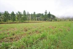  4 James St Glenreagh NSW 2450 This level 1,012m2 block is an easy walk to the township of Glenreagh 
and is located just 30 kilometers to Coffs Harbour and 45 minutes to 
Grafton. Build your dream home on this level block with a tranquil 
peaceful outlook. There is the bonus of street frontage and rear lane 
access. If you are looking for a carefree country lifestyle then this 
block is worth inspecting. 
 
* Level 1,012m2 block. 
* Easy walk to the township to Glenreagh. 
* Just 30 kilometers to Coffs Harbour and 45 minutes to Grafton. 
* Level block with tranquil outlook. 
* Bonus of street frontage and rear lane access. 
* Carefree country lifestyle. 
 
LAND: 1,012m2 (approx) 
RATES: $610 pa (approx) 