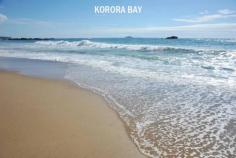  3a Breakers Way Korora NSW 2450 Here's an opportunity to secure a prime block of 
land at popular Korora, with ocean views. Located in Breakers Way, the 
land area is 1053m2 and has a north east aspect, perfect for capturing 
the great ocean views and making the most of the sun. Ready to build on,
 the block is in a street of high quality homes and is only 450 metres 
to the beach. 
 
* East facing block in Breakers Way with ocean views. 
* Sloping up from Breakers Way with 5.5m entrance. 
* 450m approx to the beach. 
* 1053m2 land size, zoned Residential 2A. 
* Can't be built out. 
* Also view at www.grantlarsen.com.au 
 
Rates: $1,500pa (approx) 

			
		
		
			Property Features
		
				
				
			Land Size
			1053 m 2 
		
				
			Rates
			$1500 Yearly
