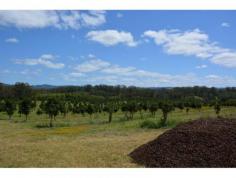  123 Veritz Rd Peachester QLD 4519 Ideally located on the Sunshine Coast hinterland is an impressive 62.67 
acres of mostly cleared and undulating fertile land with fantastic views
 of the Glass House Mountains. This would be a beautiful place to build
 offering privacy and seclusion. There are approximately 4500 741 
variety macadamia's planted (3 year growth) - so great potential for a 
future income. There is a creek with permanent water and the property 
is situated in a high rainfall area. This land is positioned less than 
10mins to all amenities in the high growth railway town of Beerwah. You
 would also be only approx. 1/2 hour to Sunshine Coast beaches and 1 
hour to Brisbane CBD and airport. Secure your opportunity to invest in 
the future growth of both your land and this sought after area. 
REF # 5494 