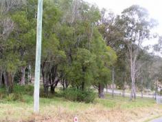  85 Tamaree Rd Cedar Creek QLD 4207 ATTENTION ACREAGE LAND BUYERS - YOUR SEARCH MAY BE OVER... 
												
												
													 -Looking for a larger than normal size acreage allotment? -Land Area 4.90Ha -Huge road frontage -Selective tree clearance in place -Room to move and improve this property with very little effort -Wide selection of home sites to choose from plus your very own man size work shed -Electricity on site for your convenience -Located within the Cedar Creek Valley Catchment -Handy to most facilities -School bus available -Short drive to Ormeau Commercial Centre and surrounds This property is priced to sell at $335,000 Inspections welcome contact Alan Tipper 0438 201 801   