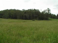 This property has an exceptional good aspect, mainly to the east. A top
 range of homesites from rainforest to open settings range across the 
whole of the land. Seasonal springs give an abundance of water and these
 could be enhanced with dam development. Beat the 'rat race' and enjoy 
the serenity of this beautifull Mary Valley property situated 
approximately 15 minutes from Maleny.					