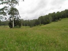 This property has an exceptional good aspect, mainly to the east. A top
 range of homesites from rainforest to open settings range across the 
whole of the land. Seasonal springs give an abundance of water and these
 could be enhanced with dam development. Beat the 'rat race' and enjoy 
the serenity of this beautifull Mary Valley property situated 
approximately 15 minutes from Maleny.					