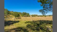 166 Duranbah Rd Duranbah NSW 2487 High On The Hill On 13 Acres. This lovely family residence positioned high on the hill has some of the best views over the Tweed Valley and on to Mt Warning. You will never tire of looking out over the world below. The land is completely usable and currently runs cattle. The bottom of the property can be easily accessed by a private road with large storage shed to hold feed or equipment. This immaculate home represents the perfect balance of tranquility and practicality. This outstanding 3 bedroom, 2 bathroom property offers a charismatic country style feel with a modern kitchen, separate living areas and enclosed balcony utilised to capture the views. Stepping outside and you will soon realise that everything has be done for you. Established fruit trees reward you all year round and the gardens are well established and maintained. 15 Minutes to the beach and 22 minutes to Coolangatta International Airport. The property is almost completely self sufficient with ample water tanks that can supply water to the home even in the event of a power outage. Solar supplies the majority of the power to the home and guarantees to save you plenty on power bills. Despite feeling a world away, this property is only a short drive from Tweed Valley Way providing access to Tweed or Murwillumbah. One inspection of this property and you will find it hard not to fall in love. Between the tranquil surroundings and the mountain range views you will wonder why you hadn't done this years ago. Contact our team to arrange a private inspection today. We have in preparing this document used our best endeavours to ensure the information is true and accurate, but accept no responsibility and disclaim all liability in respect to any errors, omissions, inaccuracies or misstatements contained. Prospective purchasers should make their own inquiries to verify the information. 