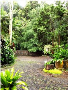  MULLUMBIMBY NSW 2482  FOR SALE:   INTEREST OVER $480,000 Set among pristine wilderness bordering the Mount Jerusalem National Park, this light-filled A-Frame cottage provides nature lovers entry to a secluded semi-rural lifestyle within easy access to all the region’s fabulous features.  The property enjoys a magnificent outlook to the rainforest valley and cliff faces of Wanganui. Across the road is pedestrian access to the national park and bush walking among waterfalls, sheer cliff walls, lush gullies and unspoiled habitats. Now is your chance to secure a rare, small allotment of 2285m2 of well -established, easy to maintain gardens and fruit tree’s. 