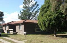  1 Ryan Ave Armidale NSW 2350     $190,000   	 Take a look at this tidy 3 bedroom home. Good sized bedrooms with storage, separate dining room and lounge with good timber flooring and little maintenance asked from the tenants. Wooden floorboards and carpet combo with open fields to the rear and in a quiet cul de sac. Wood heating. RETURNING $255 PER WEEK Good sized home at an affordable price. Property Details Bedrooms 		 3 Bathrooms 		 1 
