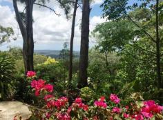  287 Mossy Bank Road Mooloolah Valley QLD 4553 380000 You don't have to live far from town to enjoy the peace & quiet this Mountain top Paradise has to offer!! Over 2 acres of fertile land with rainforest pockets, wild life corridor and amazing ocean and hinterland views.  There is a comfortable 2 bedroom cottage with a sleepout on the property that you can reside in while you build that has: power, 2 x 3000 ltr water tanks, phone connected, fire place, septic, garden shed, numerous fruit trees, rainforest pockets, walking trails, and most importantly - Amazing Views...... Bedrooms 		 2 Bathrooms 		 1 Land Area 		 8602 m2 