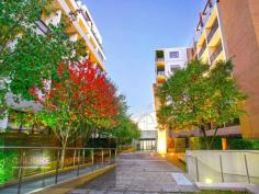 P919/287 Pyrmont Street Ultimo NSW 2007 Positioned high on level 9 of the sought after Bullecourt development sits this fantastic split level unfurnished apartment. The apartment provides a large and flexible living and dining space on the lower level, with the bedroom and bathroom up top. The apartment also boasts 2 large balconies, internal laundry and secure parking. The buildings location is within a short walk of Central Train Station and is in close walking distance to Sydney CBD, Darling Harbour and China Town. Building facilities include a fully equipped gym and sauna. Available : 22/09/2014 SaunaGymBalconySmoke AlarmsSafety SwitchGas stoveOvenRange hoodMicrowaveRefrigeratorDishwasherDrierAir conditioningIntercom system Bedrooms 		 1 Bathrooms 		 1 Secure Parking 		 1 